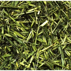 JR FARM MŁODY ZIELONY OWIES ZIELE OWSA 100G